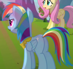 Size: 367x347 | Tagged: safe, screencap, fluttershy, rainbow dash, pegasus, pony, g4, keep calm and flutter on, butt, cropped, duo, element of kindness, element of loyalty, female, mare, plot