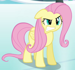 Size: 428x401 | Tagged: safe, screencap, fluttershy, pegasus, pony, g4, keep calm and flutter on, angry, cropped, cute, female, gritted teeth, madorable, mare, snow, solo