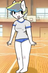 Size: 499x750 | Tagged: safe, artist:kitty0606, oc, oc:stormy sky, human, anthro, basketball court, clothes, female, gym uniform, sports panties