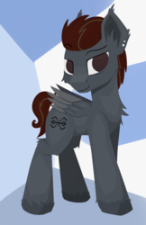 Size: 972x1500 | Tagged: safe, artist:rhythmpixel, oc, oc only, pegasus, pony, abstract background, chest fluff, colored hooves, cutie mark, ear fluff, hoof fluff, hooves, lineless, male, smiling, solo, stallion, wings