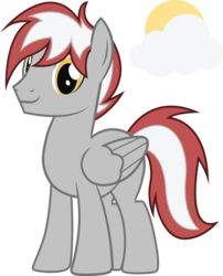 Size: 2311x2855 | Tagged: safe, artist:duskthebatpack, oc, oc only, oc:silver sky, pegasus, pony, folded wings, high res, male, simple background, smiling, solo, stallion, standing, transparent background, vector