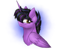 Size: 2048x1536 | Tagged: safe, artist:melonseed11, oc, oc only, oc:tillie, alicorn, pony, bust, female, mare, portrait, simple background, solo, transparent background