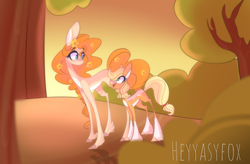 Size: 2812x1848 | Tagged: safe, artist:iheyyasyfox, applejack, pear butter, earth pony, pony, g4, coat markings, female, filly, flower, flower in hair, foal, mare, mother and daughter, socks (coat markings), sunset, younger