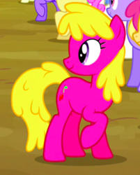 Size: 345x430 | Tagged: safe, screencap, cherry berry, earth pony, pony, g4, putting your hoof down, background pony, cropped, female, mare, raised hoof, smiling, solo focus