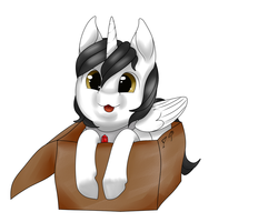 Size: 1280x1024 | Tagged: safe, artist:evlass, oc, oc only, oc:shiron, alicorn, pony, alicorn oc, box, cardboard, cardboard box, commission, looking at you, male, pony in a box, simple background, solo, tongue out, white background, ych result