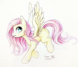 Size: 1858x1600 | Tagged: safe, artist:rikadiane, fluttershy, pegasus, pony, g4, colored pencil drawing, female, mare, solo, traditional art