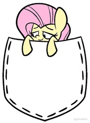 Size: 733x1000 | Tagged: safe, artist:typhwosion, fluttershy, pegasus, pony, g4, female, lidded eyes, looking away, mare, pocket, pocket pony, simple background, smiling, solo, white background
