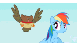 Size: 853x480 | Tagged: safe, screencap, owlowiscious, rainbow dash, winona, g4, may the best pet win, allpet, gif, great moments in animation, nightmare fuel, non-animated gif