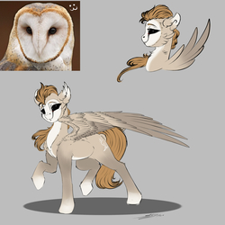 Size: 3000x3000 | Tagged: safe, artist:skitsroom, owl, owl pony, pegasus, pony, black sclera, ear fluff, gray background, high res, ponified, signature, simple background, solo, wings