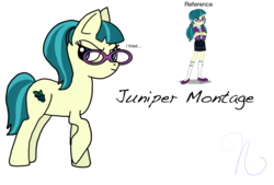 Size: 1024x691 | Tagged: safe, artist:pinkieshy1012, juniper montage, pony, equestria girls, g4, equestria girls ponified, female, ponified, simple background, solo, transparent background