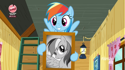 Size: 1920x1080 | Tagged: safe, screencap, rainbow dash, pegasus, pony, g4, the washouts (episode), baking it like buddy, bust, clubhouse, crusaders clubhouse, curtains, discovery family logo, female, flying, framed picture, lantern, looking at you, mare, portrait, smiling, solo
