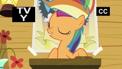 Size: 1920x1080 | Tagged: safe, screencap, scootaloo, pony, g4, the washouts (episode), clothes, eyes closed, female, filly, foal, rainbow dash fanclub, rainbow wig, shirt, solo, t-shirt, tv rating, tv-y, wig