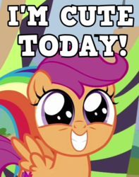 Size: 530x674 | Tagged: safe, edit, screencap, rainbow dash, scootaloo, pegasus, pony, g4, season 8, the washouts (episode), captain obvious, cute, cutealoo, female, filly, i'm cute, image macro, meme, redundant, smiling, solo focus, spread wings, text, wings