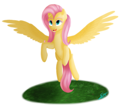 Size: 1844x1634 | Tagged: safe, artist:speed-chaser, fluttershy, pegasus, pony, g4, female, mare, simple background, solo, transparent background