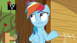 Size: 1920x1080 | Tagged: safe, screencap, rainbow dash, pony, g4, the washouts (episode), female, mare, solo