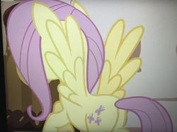 Size: 3789x2840 | Tagged: safe, screencap, fluttershy, pegasus, pony, discordant harmony, g4, butt, cropped, female, high res, mare, plot, rear view, solo, spread wings, wings