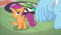 Size: 862x496 | Tagged: safe, screencap, rainbow dash, scootaloo, pegasus, pony, g4, the washouts (episode), carpet, female, filly, foal, rug, solo focus