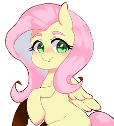 Size: 2444x2706 | Tagged: safe, artist:koto, fluttershy, pegasus, pony, g4, cute, female, high res, looking at you, mare, shyabetes, simple background, solo, white background