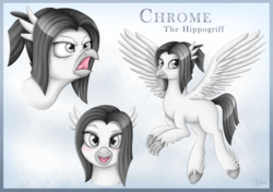 Size: 3400x2400 | Tagged: safe, artist:puggie, oc, oc only, oc:chrome the hippogriff, hippogriff, angry, commission, flirting, high res, hippogriff oc, reference sheet, solo