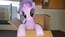 Size: 1200x675 | Tagged: safe, artist:nekokevin, starlight glimmer, pony, unicorn, series:nekokevin's glimmy, g4, box, female, irl, looking at you, mare, photo, plushie, pony in a box, raised hoof, smiling, solo, underhoof