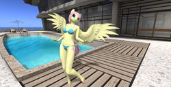 Size: 1920x986 | Tagged: safe, artist:bangayo, fluttershy, anthro, g4, 3d, belly button, bikini, clothes, female, midriff, second life, sexy, solo, swimming pool, swimsuit, video in description