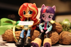 Size: 6000x4000 | Tagged: safe, artist:artofmagicpoland, sunset shimmer, twilight sparkle, equestria girls, g4, 2019, doll, equestria girls minis, female, lesbian, living room, ship:sunsetsparkle, shipping, toy