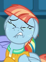 Size: 427x568 | Tagged: safe, screencap, windy whistles, pegasus, pony, g4, parental glideance, crying, eyes closed, female, floppy ears, mare, out of context, sad, solo
