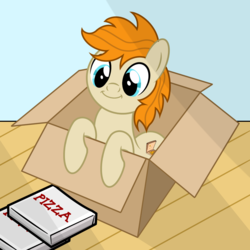 Size: 2500x2500 | Tagged: safe, artist:pizzamovies, oc, oc only, oc:pizzamovies, earth pony, pony, box, cardboard box, food, happy, high res, meat, pepperoni, pepperoni pizza, pizza, pizza box, pony in a box, smiling, solo