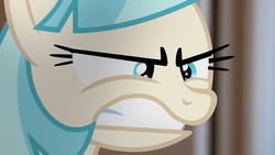 Size: 1280x720 | Tagged: safe, artist:stormxf3, coco pommel, earth pony, pony, g4, angry, female, furious, gritted teeth, irl, photo, solo, youtube link