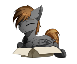 Size: 3049x2520 | Tagged: safe, artist:kxttponies, oc, oc only, oc:sketch skylar, pegasus, pony, box, chest fluff, eyes closed, high res, if i fits i sits, male, pony in a box, simple background, solo, stallion, transparent background