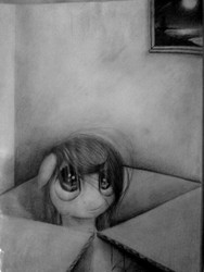 Size: 2736x3648 | Tagged: safe, artist:thatdreamerarts, pony, box, cardboard box, floppy ears, high res, looking up, monochrome, pencil drawing, pony in a box, solo, traditional art
