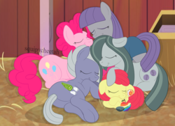 Size: 1936x1400 | Tagged: safe, artist:squipycheetah, apple bloom, boulder (g4), limestone pie, marble pie, maud pie, pinkie pie, earth pony, pony, g4, adorabloom, alternate cutie mark, apple, barn, butt, clothes, cuddle puddle, cuddling, cute, cutie mark, diapinkes, dress, eyes closed, family, female, filly, floppy ears, food, hug, limabetes, lying down, marblebetes, mare, maudabetes, pet, pie pile, pie sisters, pie twins, plot, pony pile, redraw, rock, siblings, sisters, sleeping, smiling, tail hug, the cmc's cutie marks, twins, watermark, when she smiles, zap apple