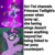 Size: 1080x1080 | Tagged: safe, edit, edited screencap, screencap, sci-twi, twilight sparkle, alicorn, pony, unicorn, equestria girls, equestria girls specials, g4, my little pony equestria girls: better together, my little pony equestria girls: forgotten friendship, my little pony equestria girls: spring breakdown, :o, clothes, comparison, cropped, equestria girls ponified, explanation, female, glasses, open mouth, ponied up, ponified, sailor mercury pose, sailor moon (series), solo, super sentai stance, twilight sparkle (alicorn), unicorn sci-twi