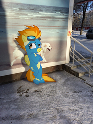 Size: 2448x3264 | Tagged: safe, artist:albertuha, spitfire, pegasus, pony, g4, clothes, high res, irl, photo, ponies in real life, show accurate, snow, solo, uniform, winter, wonderbolts uniform