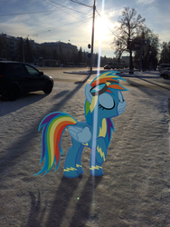 Size: 2448x3264 | Tagged: safe, artist:albertuha, rainbow dash, pegasus, pony, g4, clothes, eyes closed, high res, irl, photo, ponies in real life, raised hoof, snow, solo, winter, wonderbolts