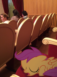 Size: 2448x3264 | Tagged: safe, artist:albertuha, scootaloo, human, pegasus, pony, g4, high res, irl, irl human, photo, ponies in real life, sleeping, solo