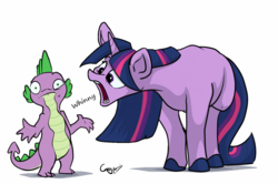 Size: 1280x848 | Tagged: safe, artist:greyscaleart, derpibooru exclusive, edit, editor:maonyman, spike, twilight sparkle, dragon, pony, unicorn, g4, colored hooves, confused, eye twitch, female, frown, head tilt, hoers, horse noises, horses doing horse things, looking at you, male, mare, onomatopoeia, open mouth, shrug, simple background, unicorn twilight, wat, whinny, white background, wide eyes