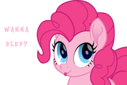 Size: 819x546 | Tagged: safe, artist:spookitty, pinkie pie, earth pony, pony, g4, :p, cute, female, looking at you, mare, pinkie pie is best pony, question, question mark, silly, simple background, solo, text, tongue out, transparent background