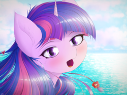 Size: 4000x3000 | Tagged: safe, artist:maneingreen, twilight sparkle, alicorn, pony, g4, blushing, cheek fluff, ear fluff, female, looking at you, mare, ocean, open mouth, solo