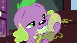 Size: 1920x1080 | Tagged: safe, screencap, spike, spike the regular dog, dog, equestria girls, g4, my little pony equestria girls: better together, reboxing with spike!, clothes, dirty socks, socks