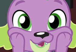 Size: 1041x720 | Tagged: safe, screencap, spike, spike the regular dog, dog, equestria girls, g4, my little pony equestria girls: better together, reboxing with spike!, cropped, cute, male, paws, spikabetes, touching face