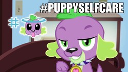 Size: 1920x1080 | Tagged: safe, screencap, spike, spike the regular dog, dog, equestria girls, g4, my little pony equestria girls: better together, reboxing with spike!, hashtag, male, solo, spike's dog collar