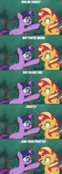 Size: 1920x5360 | Tagged: safe, alternate version, edit, edited screencap, screencap, sci-twi, sunset shimmer, twilight sparkle, pony, unicorn, equestria girls, equestria girls series, g4, spring breakdown, spoiler:eqg series (season 2), caption, dialogue, equestria girls ponified, glasses, image macro, impact font, implied hugging, implied nudity, ponified, text, unicorn sci-twi, we don't normally wear clothes