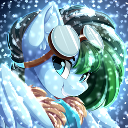 Size: 3555x3555 | Tagged: safe, artist:airiniblock, oc, oc only, oc:gryph xander, pegasus, pony, rcf community, bust, clothes, commission, goggles, high res, male, snow, snowfall, solo, stallion