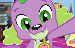 Size: 1120x720 | Tagged: safe, screencap, spike, spike the regular dog, dog, equestria girls, equestria girls series, g4, reboxing with spike!, spoiler:eqg series (season 2), collar, cute, male, sci-twi's room, smiling, spikabetes, spike's dog collar