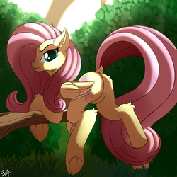 Size: 2000x2000 | Tagged: safe, artist:orangejuicerus, fluttershy, pegasus, pony, g4, featureless crotch, female, high res, looking at you, mare, signature, smiling, solo, tree branch