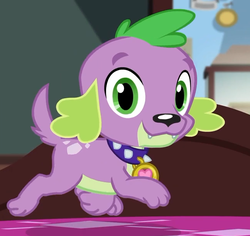 Size: 649x613 | Tagged: safe, screencap, spike, spike the regular dog, dog, equestria girls, g4, my little pony equestria girls: better together, reboxing with spike!, collar, cropped, green eyes, grin, male, paws, purple fur, smiling, spike's dog collar, spikes, tail, talking to viewer