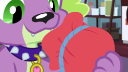 Size: 1280x720 | Tagged: safe, screencap, spike, spike the regular dog, dog, equestria girls, equestria girls series, g4, reboxing with spike!, male, paws, spike's dog collar