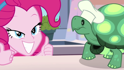 Size: 1920x1080 | Tagged: safe, screencap, pinkie pie, tank, tortoise, equestria girls, g4, my little pony equestria girls: better together, the craft of cookies, clothes, grin, hat, smiling, thumbs up