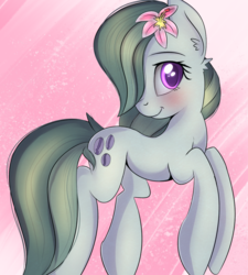 Size: 1060x1178 | Tagged: safe, artist:brok-enwings, marble pie, earth pony, pony, blushing, cute, ear fluff, female, flower, flower in hair, looking at you, marblebetes, mare, smiling, solo